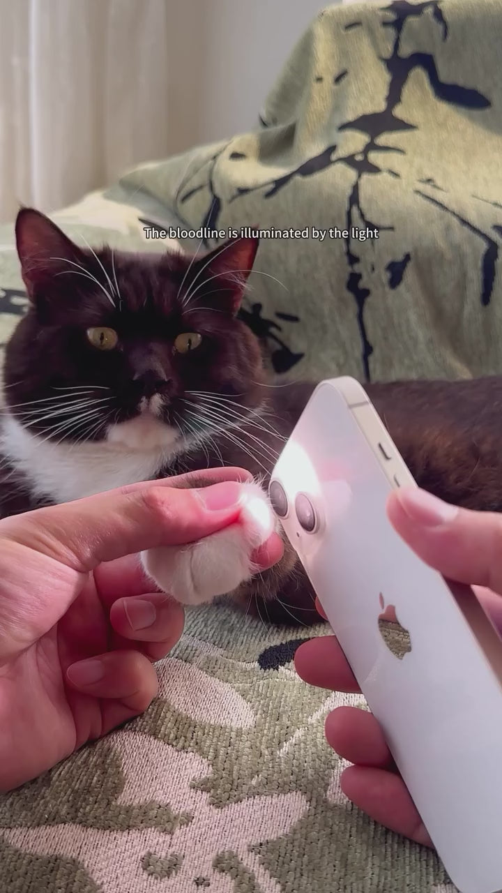 LumiPaw™ 2-in-1 LED Pet Nail Trimmer & Grinder